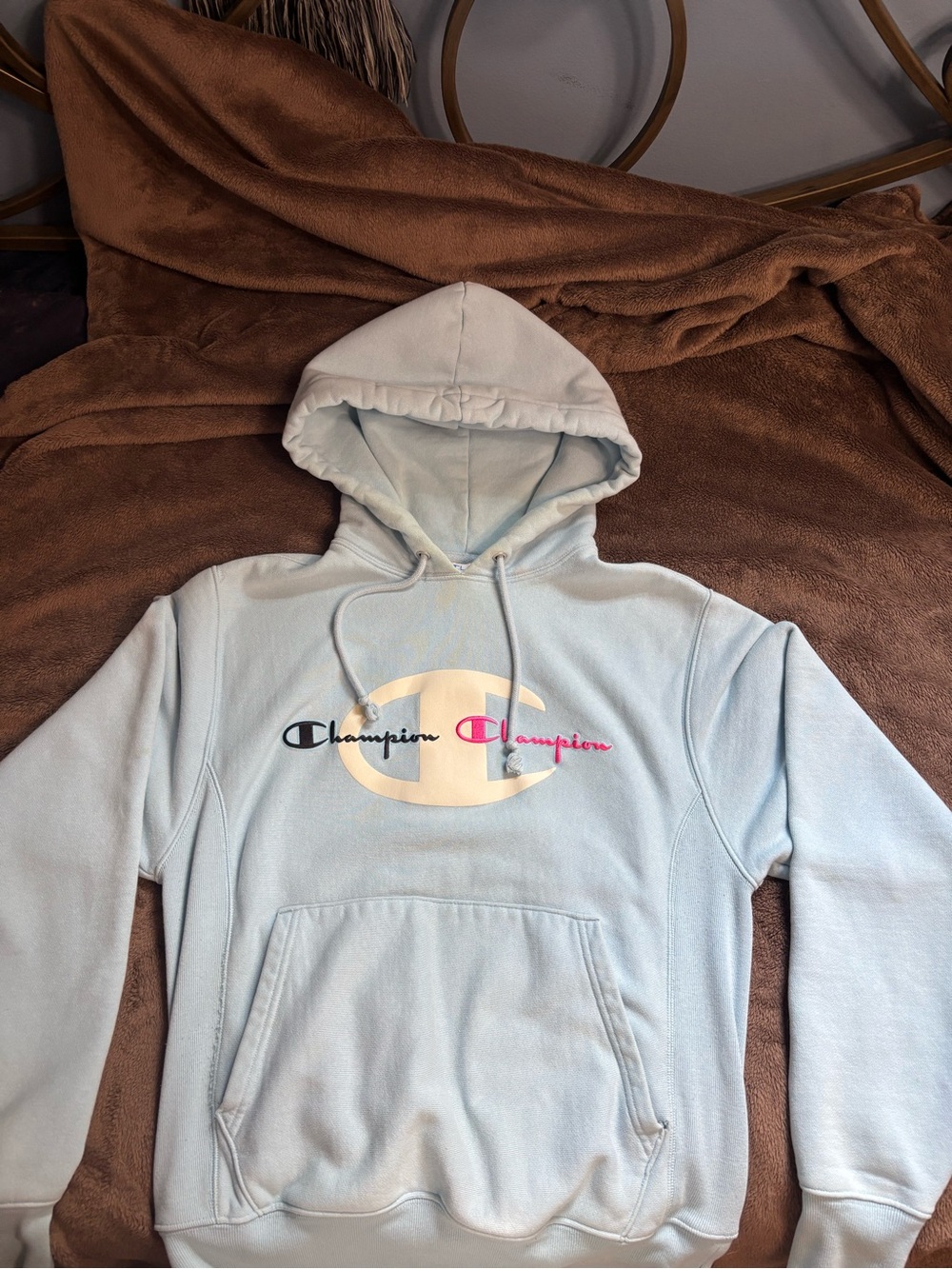 Champion Light Blue Hoodie